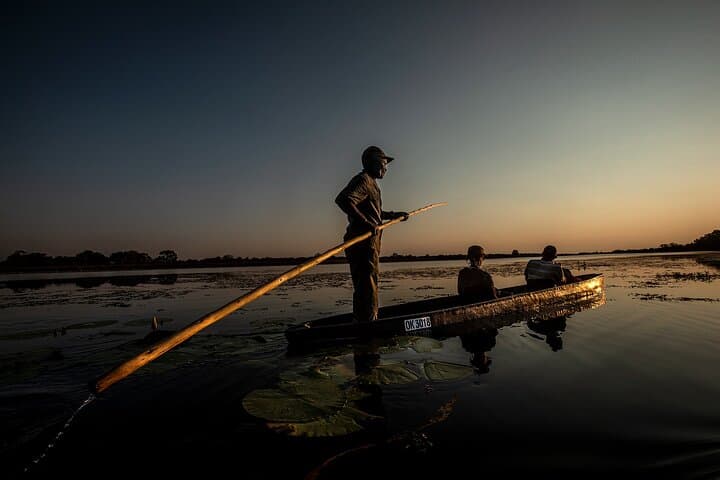 Luxury Okavango Delta: 5-Day Boteti & Moremi Safari