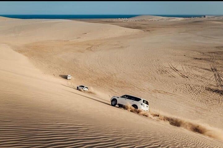 Doha Desert Safari & Khor Al Adaid Inland Sea: Camel Ride, Dune Bashing & Sandboarding photo 2