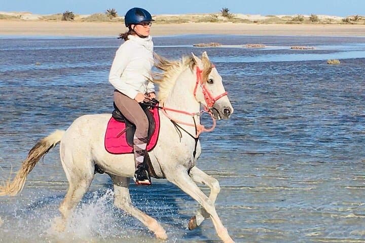 Djerba Discovery Ride: 2.5-Hour Horse & Camel Trek to the Lagoon photo 5