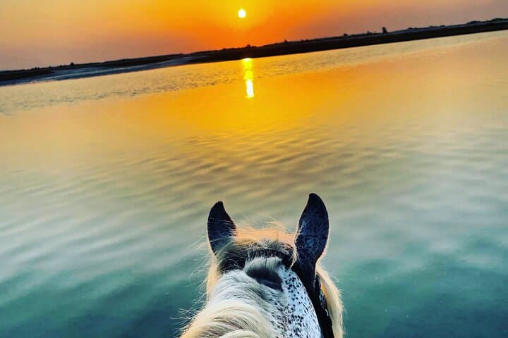 Djerba Sunrise Horseback Ride: 3-Hour Experienced Rider Tour photo 5