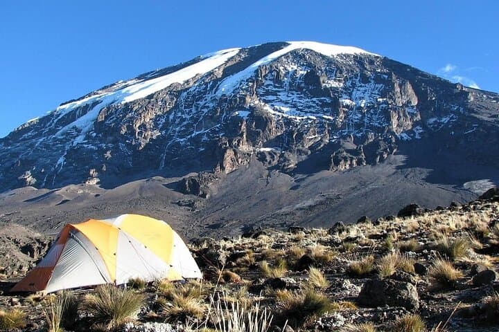 8-Day Mount Kilimanjaro Lemosho Route Trek — Guide to Summit via Quiet, Scenic Route photo 6