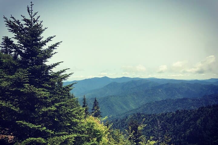 Clingmans Dome Guided Hike — Appalachian Trail High Point & 6,643‑ft Tower Views photo 2
