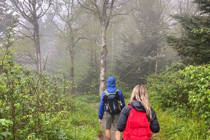 Clingmans Dome Guided Hike — Appalachian Trail High Point & 6,643‑ft Tower Views photo 3