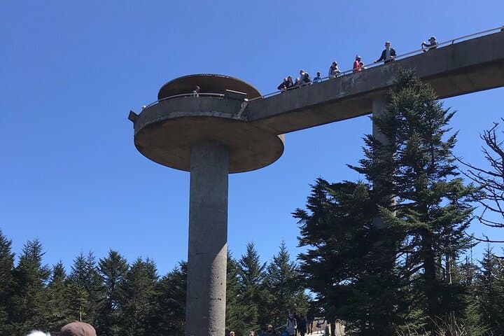 Clingmans Dome Guided Hike — Appalachian Trail High Point & 6,643‑ft Tower Views photo 4