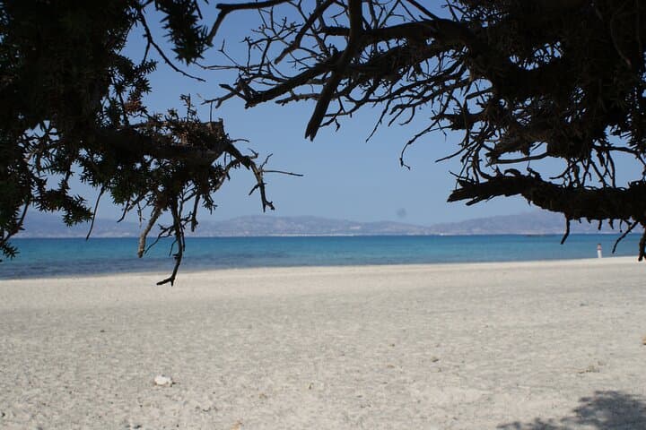 Chrissi Island Day Cruise from Ierapetra — Golden Beach & Cedar Grove Escape photo 4