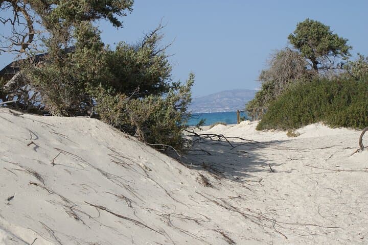 Chrissi Island Day Cruise from Ierapetra — Golden Beach & Cedar Grove Escape photo 6