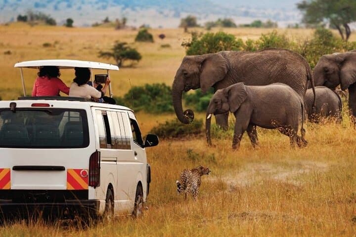 Two-Day Amboseli Safari from Nairobi: Kilimanjaro Views, Elephants & Maasai Culture photo 3