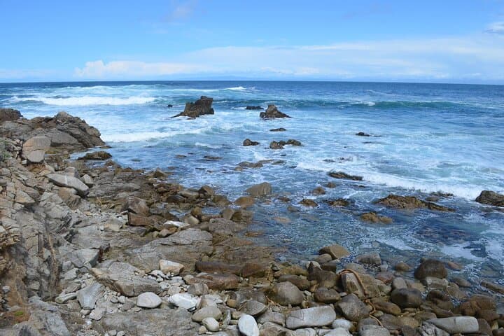 Exploring Monterey and 17-Mile Drive: A Scenic Day Tour from San Francisco