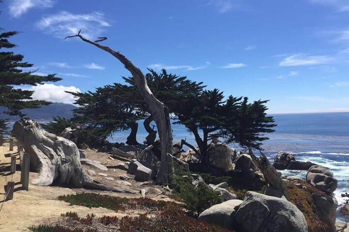 Exploring Monterey and 17-Mile Drive: A Scenic Day Tour from San Francisco photo 3
