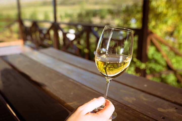 Full-Day Constantia Wine Tasting and Table Mountain — Cape Town Wine & Summit Tour photo 3