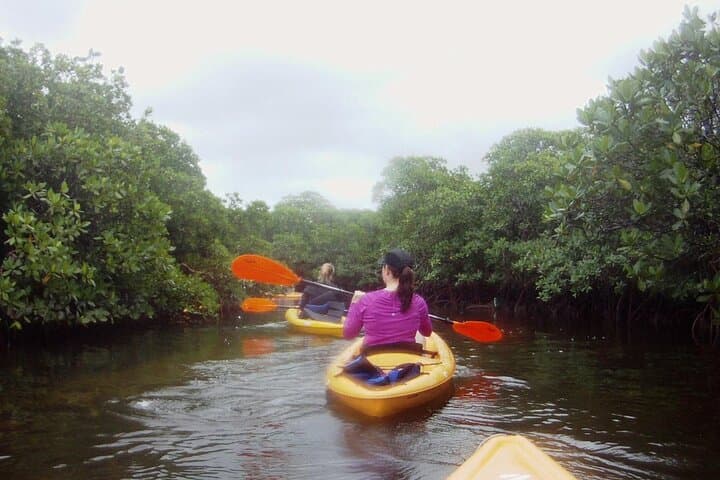 Key Largo 1-Hour Kayak & Paddleboard Rental on Florida Bay photo 3