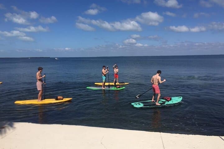 Key Largo 1-Hour Kayak & Paddleboard Rental on Florida Bay photo 6