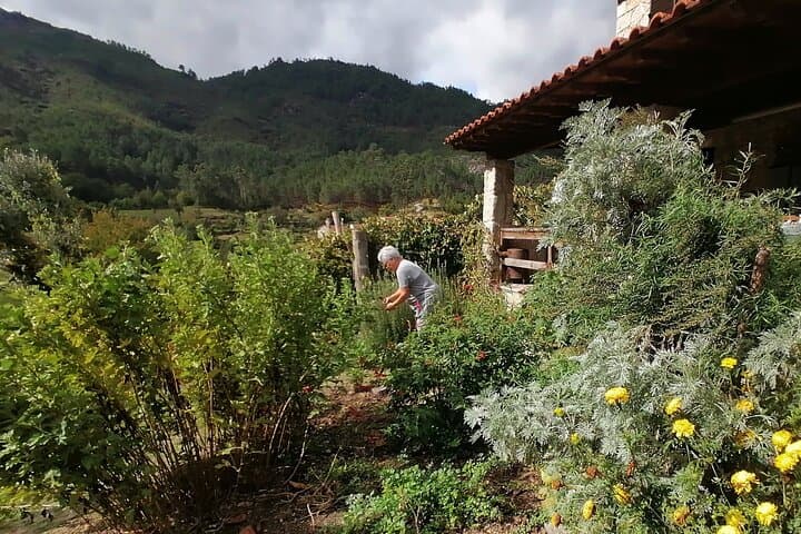 Live Like a Local in Gerês: 3-Day Rural Immersion with Local Food Tasting photo 5