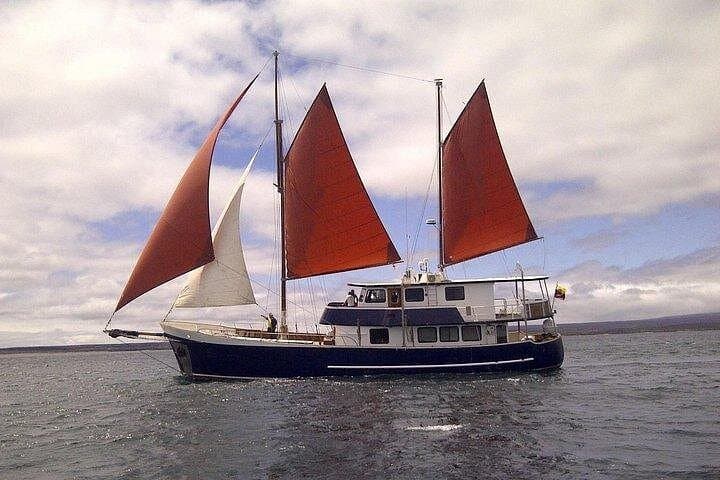 Samba Cruise at the Galapagos Islands: 8-Day Wildlife & Snorkel Expedition photo 1