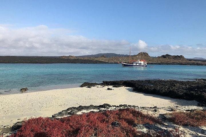 Samba Cruise at the Galapagos Islands: 8-Day Wildlife & Snorkel Expedition photo 2