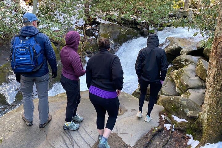 Guided Appalachian Waterfalls Hike in Great Smoky Mountains photo 3