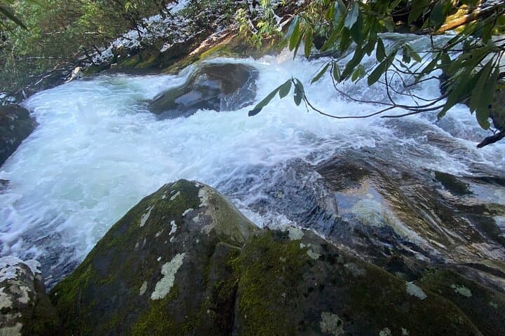 Guided Appalachian Waterfalls Hike in Great Smoky Mountains photo 4