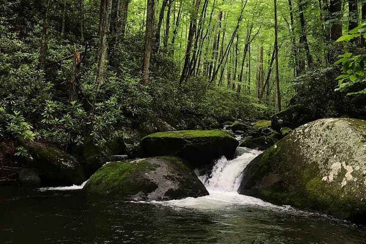 Guided Appalachian Waterfalls Hike in Great Smoky Mountains