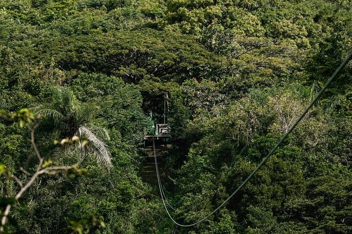 St. Kitts Zipline at Sky Safari — Wingfield Estate Canopy Tour photo 4