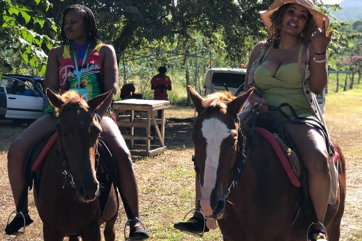 Montego Bay Horseback Riding: Jungle Trails to Private Caribbean Beach photo 3