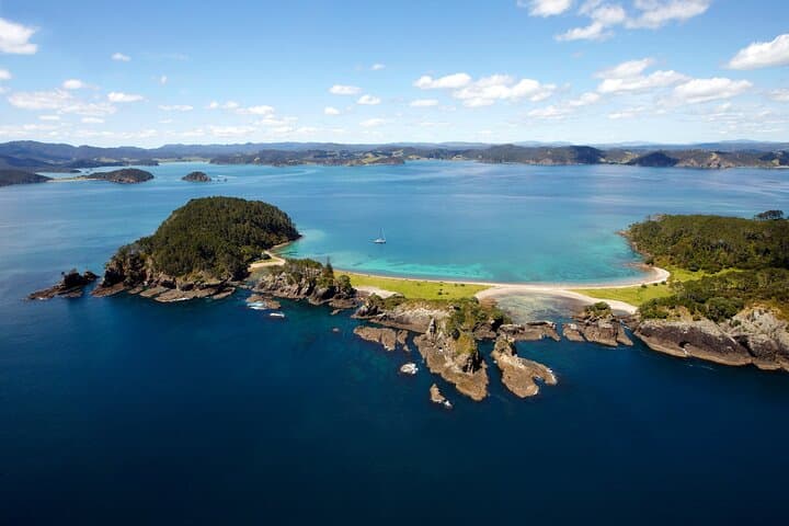 Hole in the Rock Cruise & Island Stopover — Half‑Day Bay of Islands Adventure from Paihia photo 6