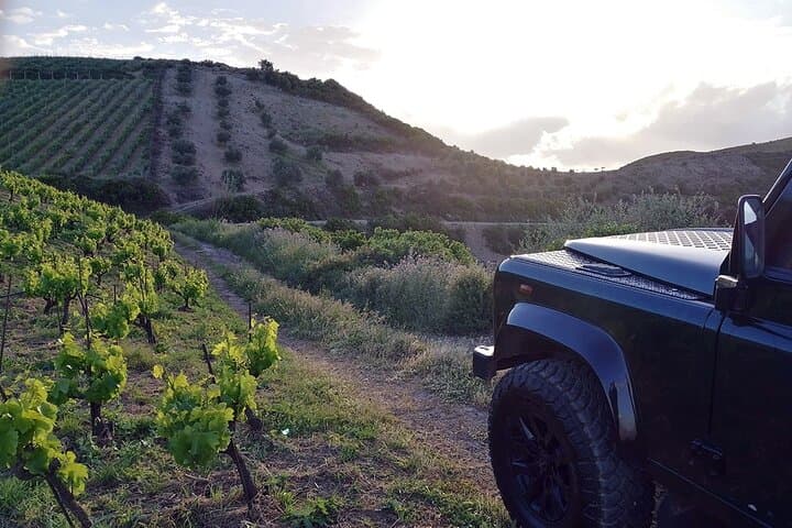 Private Manousakis Winery & Vatolakos Vineyard Off‑Road Tour (Chania)