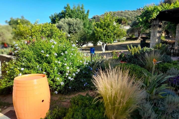 Private Manousakis Winery & Vatolakos Vineyard Off‑Road Tour (Chania) photo 3