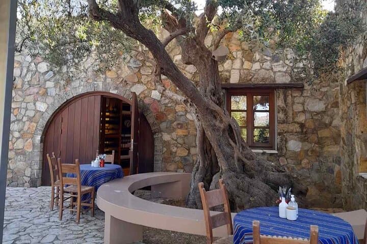 Private Manousakis Winery & Vatolakos Vineyard Off‑Road Tour (Chania) photo 4