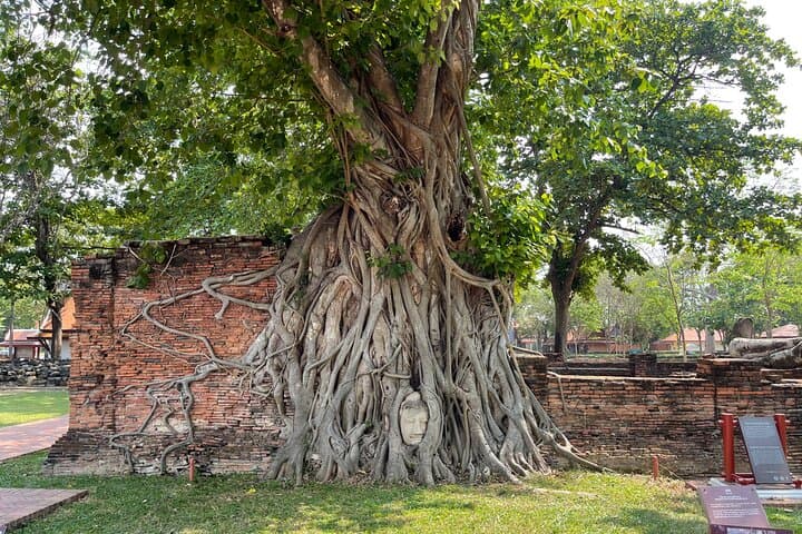 Ayutthaya Day Trip from Bangkok: Ancient Temples & Ruins of the Old Capital photo 4