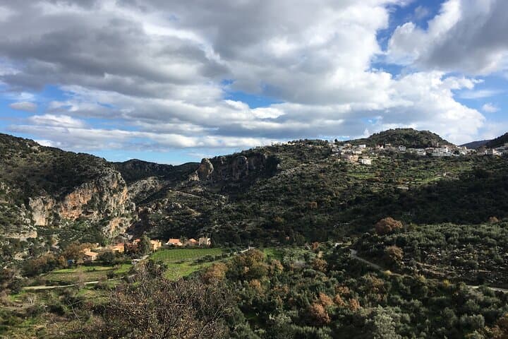 Rethymno 4x4 Safari: Cretan Winery, Olive Mill & Shepherd's Hut Experience