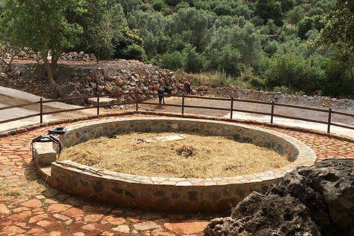 Rethymno 4x4 Safari: Cretan Winery, Olive Mill & Shepherd's Hut Experience photo 6