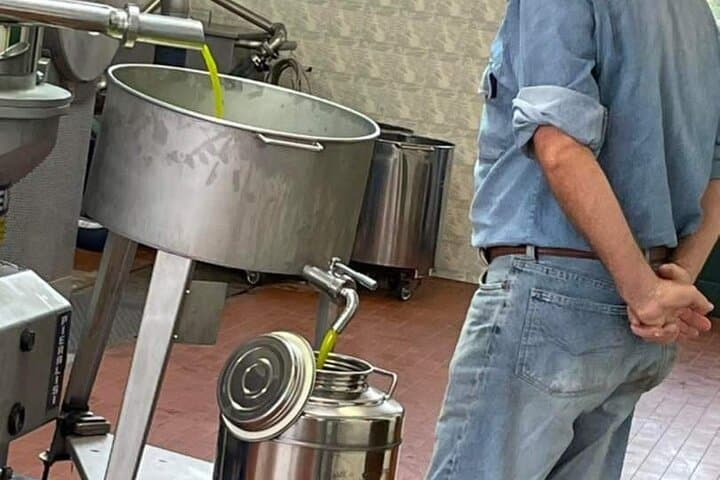 Chianti Horseback Ride and Olive Oil Tasting from Florence photo 6