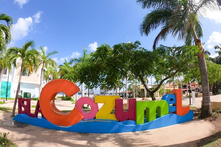 El Cielo Snorkel: Cozumel Day Trip to Reefs, Starfish & Lunch photo 6
