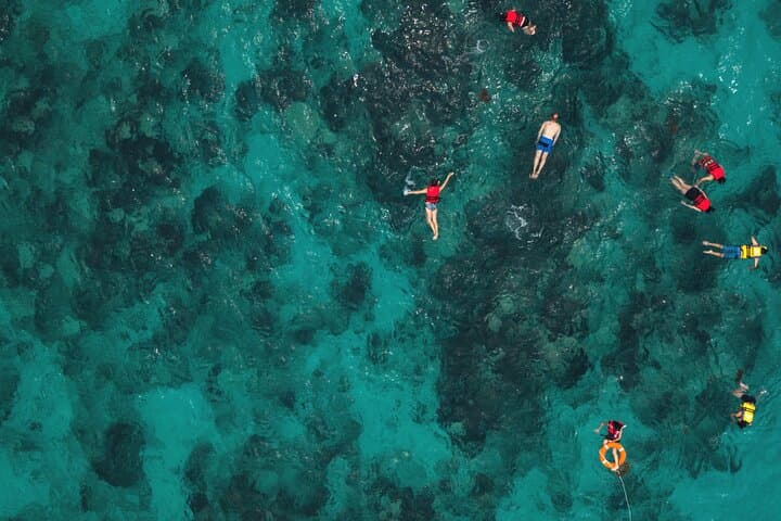 El Cielo Snorkel: Cozumel Day Trip to Reefs, Starfish & Lunch photo 4