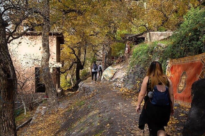 Atlas Mountains Day Trip: Ourika Valley & Setti Fatma Waterfalls from Marrakech