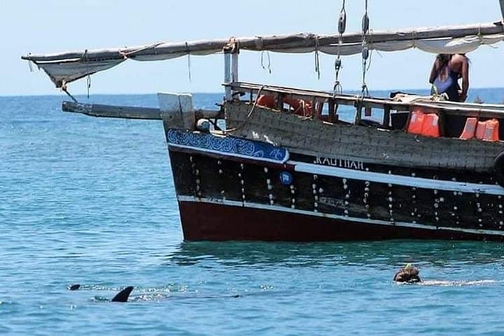 Kisite-Mpunguti Dolphin & Snorkel Tour to Wasini Island (From Shimoni)