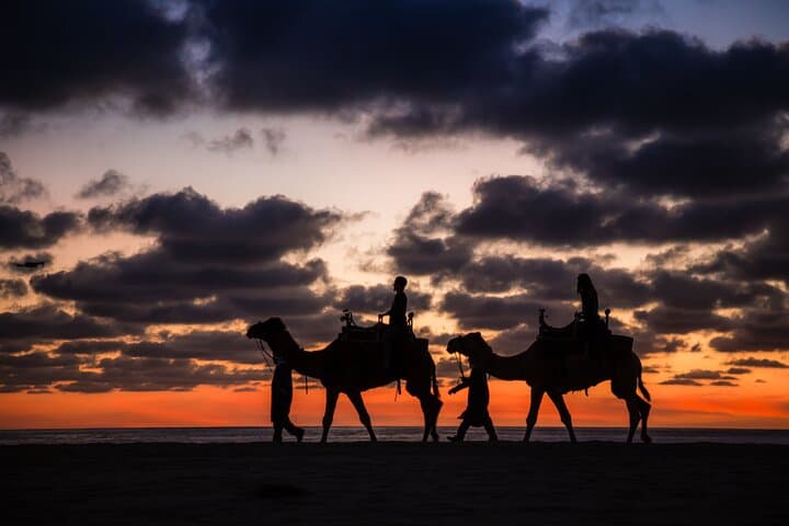 Coastal Camel Safari in Baja: Rancho Tierra Sagrada Beach Ride, Tortillas & Tequila photo 6