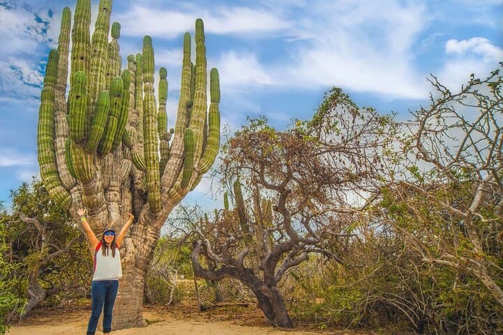Coastal Camel Safari in Baja: Rancho Tierra Sagrada Beach Ride, Tortillas & Tequila photo 4