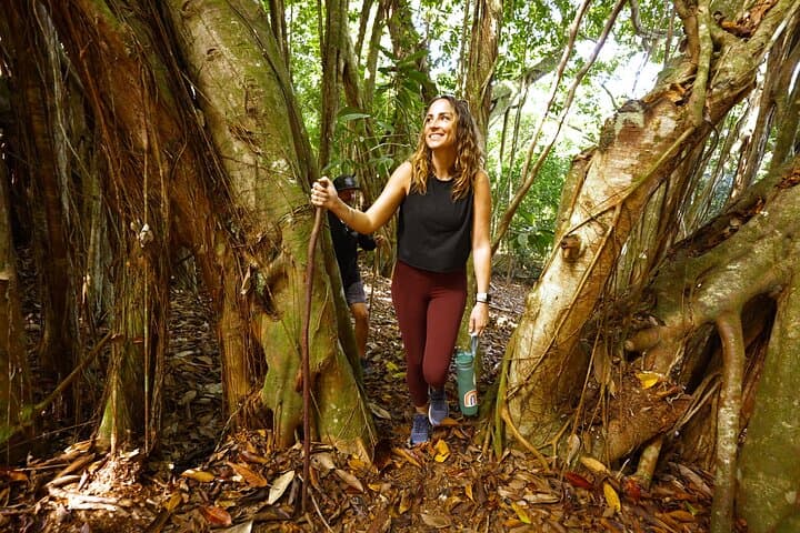 Hike Honolua Ridgeline: Puʻu Kukui Conservation Trek in Kapalua photo 3