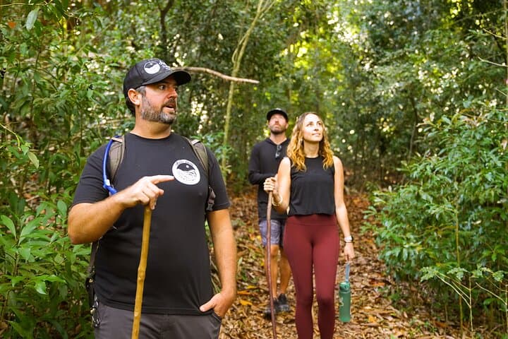 Hike Honolua Ridgeline: Puʻu Kukui Conservation Trek in Kapalua