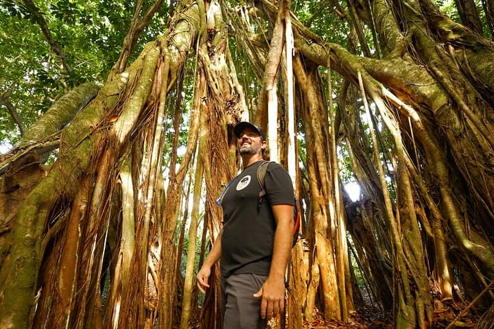 Hike Honolua Ridgeline: Puʻu Kukui Conservation Trek in Kapalua photo 5