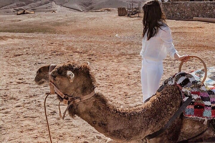 Agafay After Dark: Sunset Dinner and Camel Ride from Marrakech photo 3