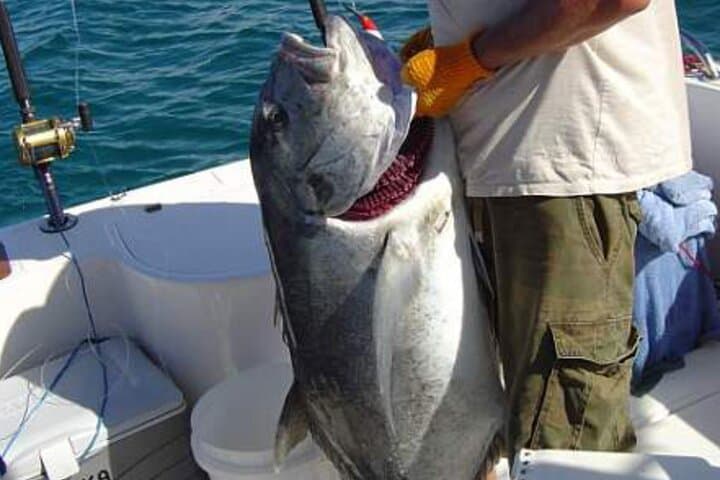 Extreme Game Fishing in Zanzibar: Offshore Big-Game Charters from Stone Town photo 2