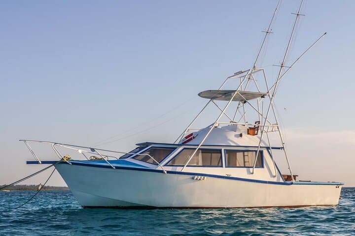 Extreme Game Fishing in Zanzibar: Offshore Big-Game Charters from Stone Town photo 3