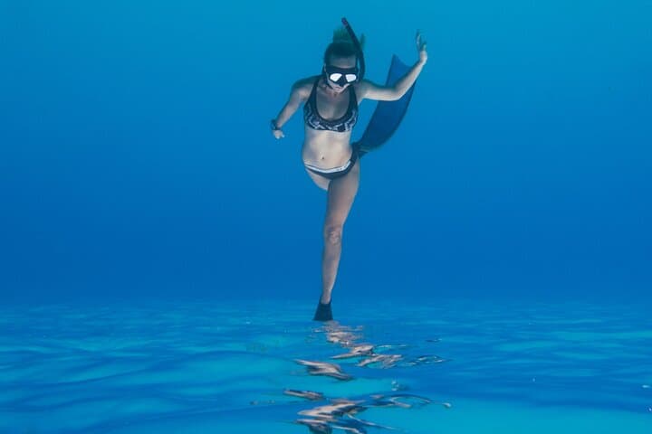PADI Freediver Course: Two-Day Freediving Certification in Carlisle Bay photo 6