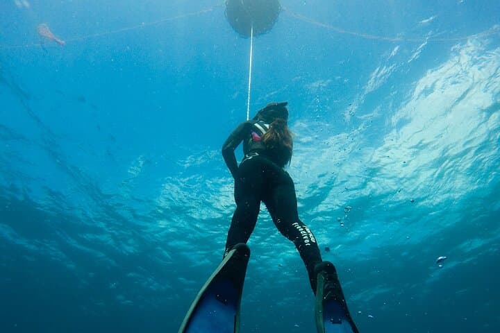 PADI Freediver Course: Two-Day Freediving Certification in Carlisle Bay