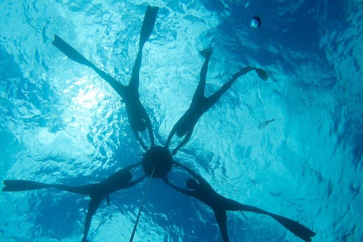 PADI Freediver Course: Two-Day Freediving Certification in Carlisle Bay photo 3