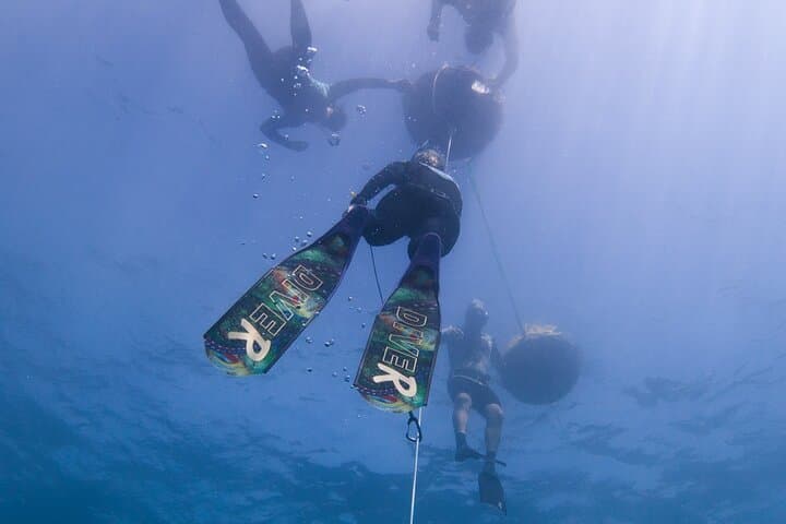 PADI Freediver Course: Two-Day Freediving Certification in Carlisle Bay photo 5