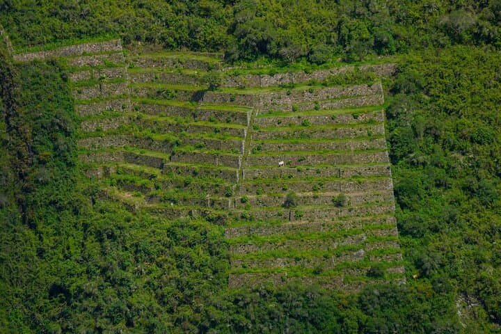 4-Day Choquequirao Trek: Capuliyoc to Marampata and the Apurímac Rim photo 2