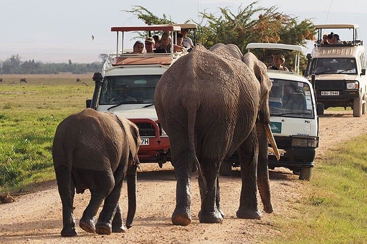 Two-Day Amboseli Safari from Nairobi: Kilimanjaro Views, Elephants & Maasai Culture photo 5